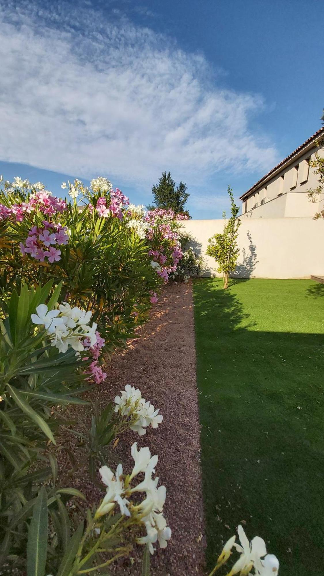 Villa Home Holiday A Cala Rossa Lecci Eksteriør billede